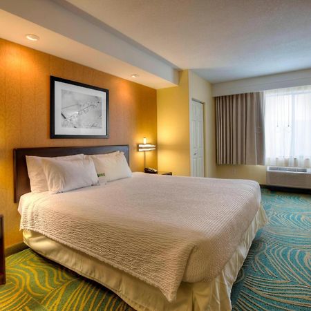 Springhill Suites By Marriott - Tampa Brandon Kültér fotó