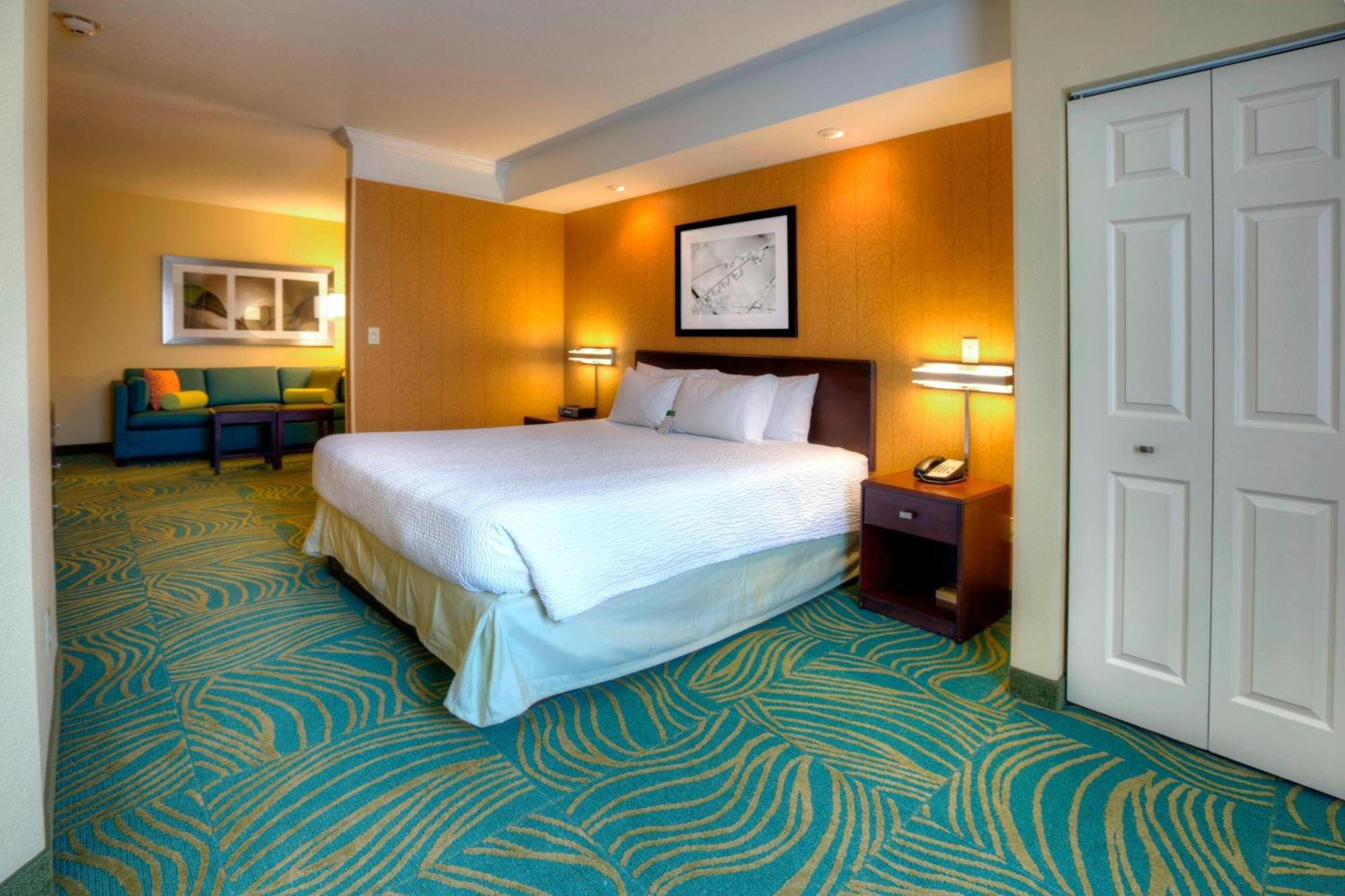 Springhill Suites By Marriott - Tampa Brandon Kültér fotó